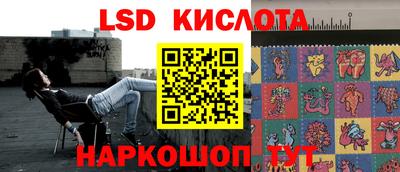 прущие грибы Гусев