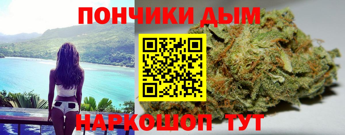 Шишки марихуана планчик Лабинск